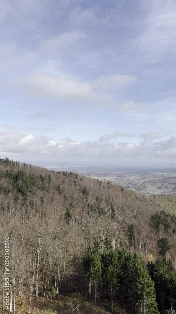 Autumn aerial landscape in the mountains. View from a drone Autumn aerial landscape in the mountains. View from a drone