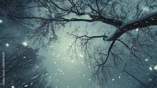 Extreme winter storm from ground perspective, snow accumulating rapidly on tree branches, power lines, and road surfaces, visibility reduced to near zero, sense of overwhelming natural power photo