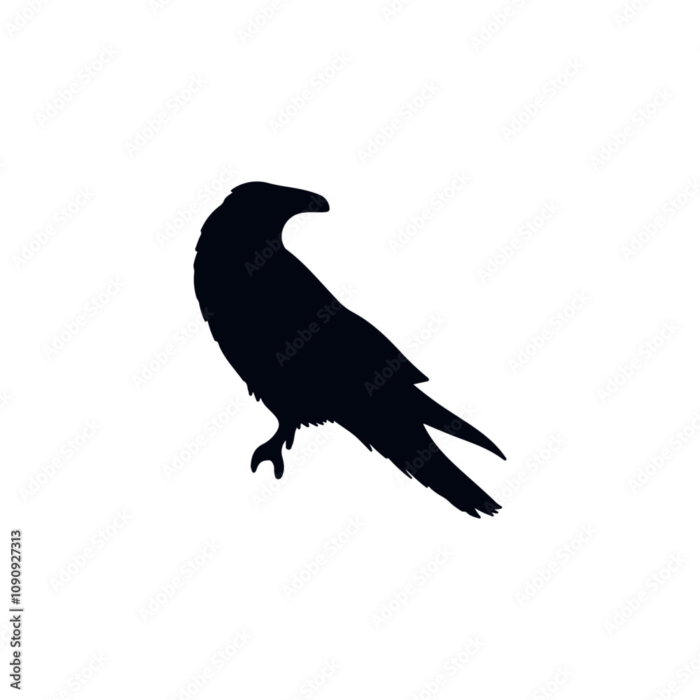 Fototapeta premium Silhouette of a Crow in Black Haloween