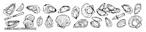 Oyster shell doodle set, ink hand drawn delicious seafood vector illustration, mussel vintage sign. Ocean kitchen restaurant menu design object, mollusc abstract outline. Oyster shell cooking clipart