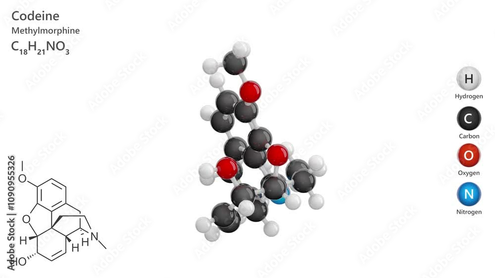 Codeine. Drug. Animated 3D model of a molecule. Molecular formula ...