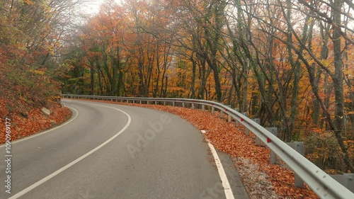 Moving forward along a scenic autumn road in slow motion. Vibrant forest and foggy weather.