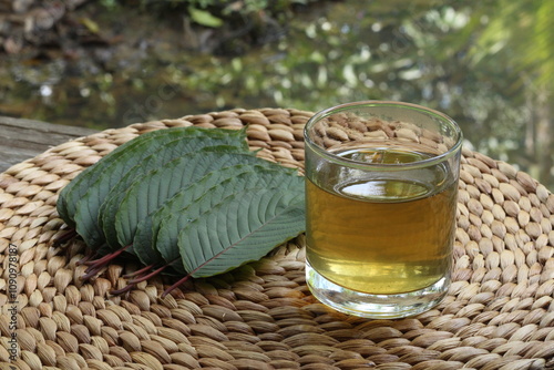 Fresh kratom leaves or mitragyna speciosa and a glass of kratom tea