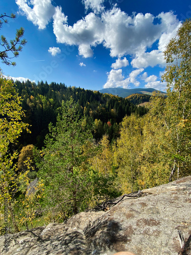 Scenic forest view with blue sky and fluffy clouds