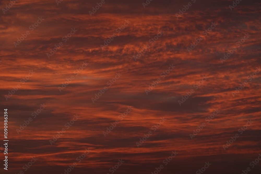Fototapeta premium orange sunset