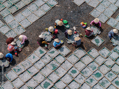 Drying anchovies after processing by fishermen in Binh Thuan, Vietnam. This is completely manual and strenuous work. Photo taken in Binh Thuan, Vietnam on September 10 2024	
