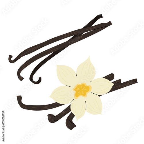 Vanilla. Set illustration of stick with flower of sweet vanilla. Ingredient for baking. Flat vector illustration on a white background.