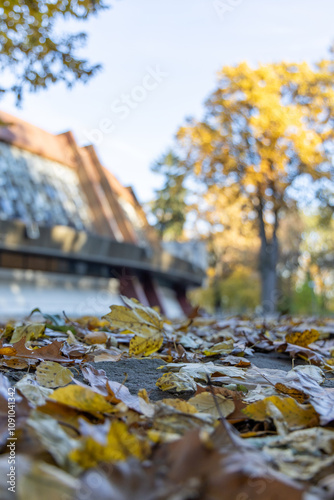 Old building in autumn city park