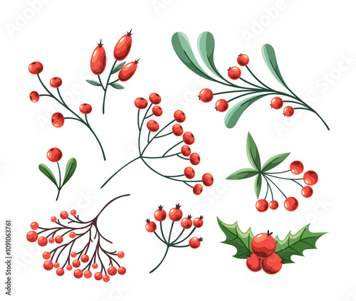 Red rose hips, viburnum and rowan berries new year plants abstract collection isolated on white