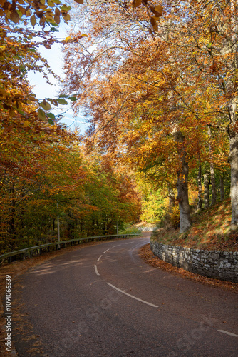 Scotland: The road to New Lanark, which passes through the forest ablaze with autumn colours