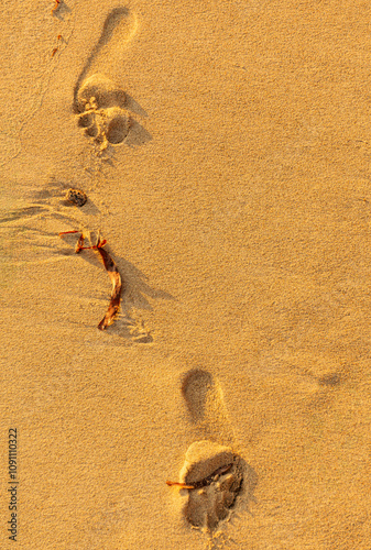 Footsteps On A Sandy Beach