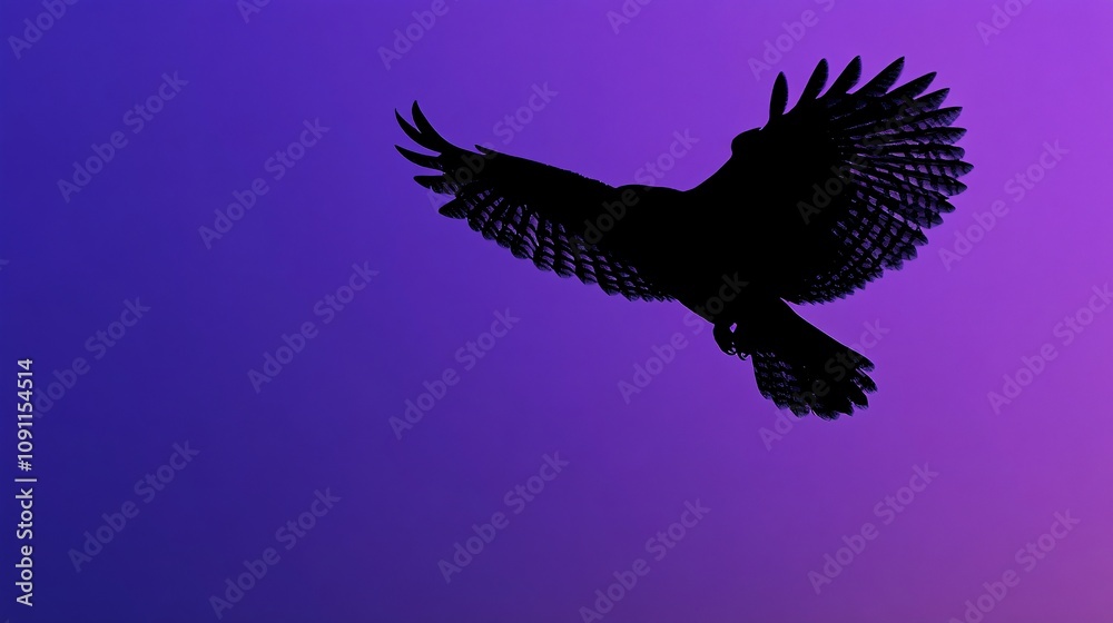 Obraz premium Majestic Owl Silhouette in Flight on Gradient Indigo-Violet Background