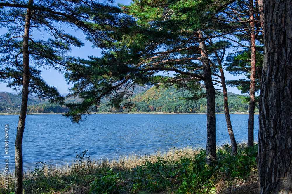Obraz premium Beautiful lakeside panoramic view with blue sky in the park.