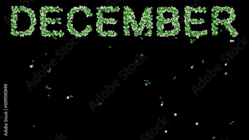 Beautiful illustration of December text with green leaves and white daisy flowers on plain black background