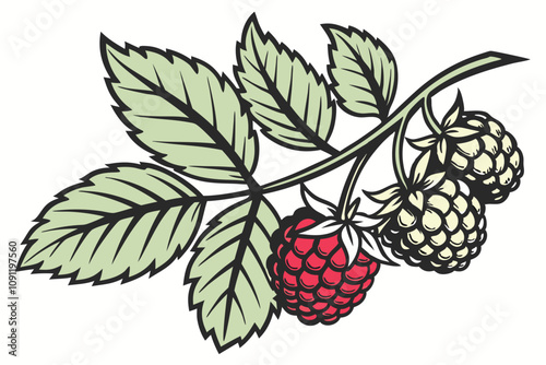 logo with the image of a fresh, multi colored traced fruit in green