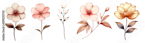 Set of vintage watercolor flowers