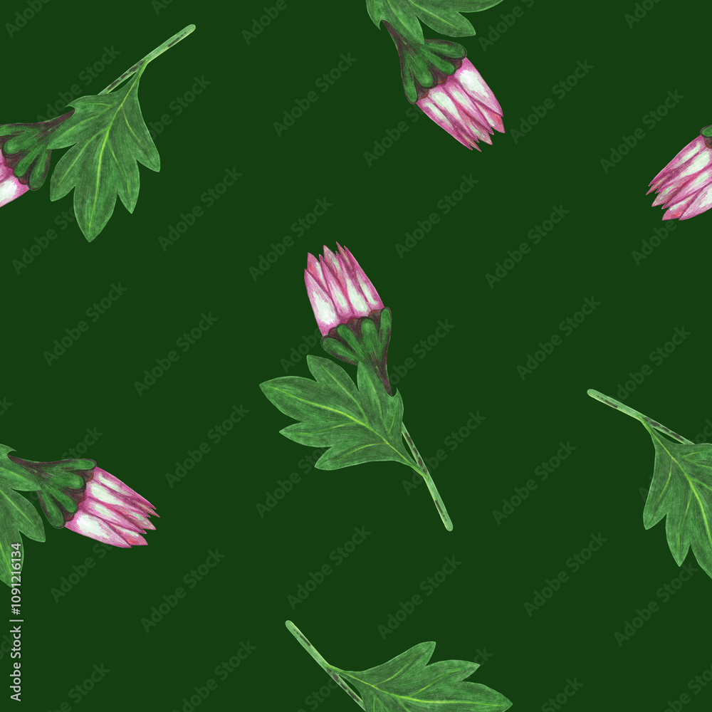 Obraz premium Chrysanthemum Flower Seamless Pattern. Hand Drawn Floral Digital Paper on Green Background.