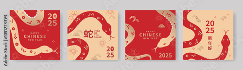 A set of Chinese New Year card designs celebrating the 2025 Year of the Snake, featuring traditional floral and Asian patterns with New Year elements. Translation: Lunar New Year.