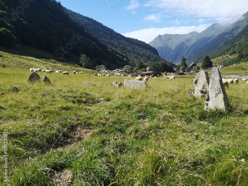 Cromlech en vallée d'Ossau photo