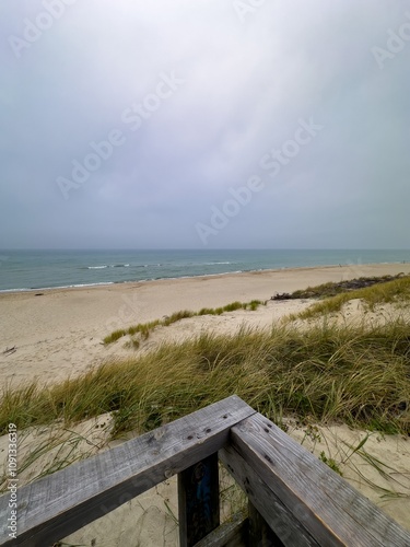 A scenic beach on the Curonian Spit, Kaliningrad Oblast, showcasing grassy dunes leading to a vast shoreline. The overcast sky adds a dramatic touch to this serene coastal view photo