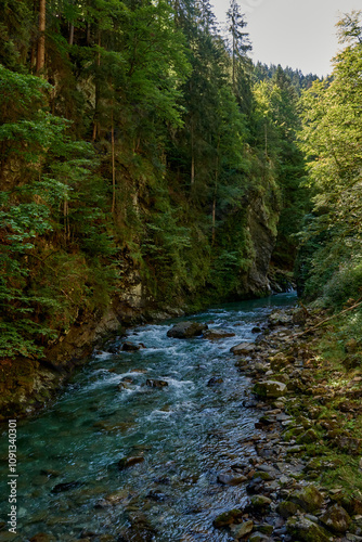 Pristine Alpine Stream Flows Through Lush Mountain Valley with Eco-Friendly Rural Landscape. Serene Wilderness Scene Captures Environmental Harmony in Picturesque Countryside Setting.