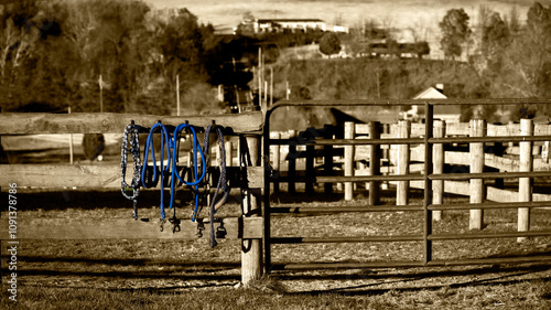 Colorful horse halters on a fence in a sepia color picture photo