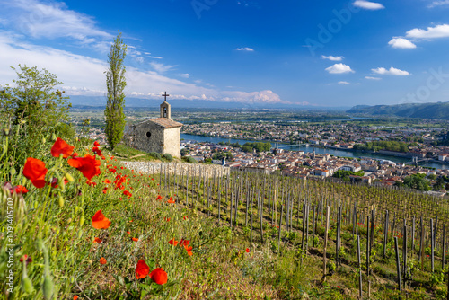 Grand cru vineyard and Chapel of Saint Christopher, Tain l'Hermitage, Rhone-Alpes, France photo