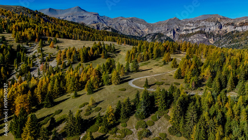 Foret d'automnes col de la Couillole