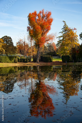 Italia, Toscana, Lucca, Marlia la villa Reale e il parco. photo