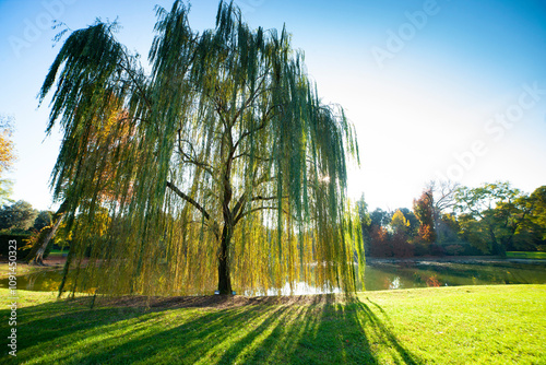 Italia, Toscana, Lucca, Marlia la villa Reale e il parco. photo