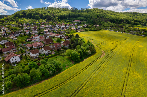 Obraz na płótnie Top view of a field of yellow rapeseed flowers with a small town in the background. The sky is cloudy and the sun is shining through the clouds. Germany. w salonie