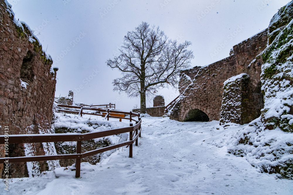 A castle with a snow covered roof and a steeple. The castle is surrounded by a snowy landscape. Ruin of Hohnstein Castle, Harz mountains, Germany.