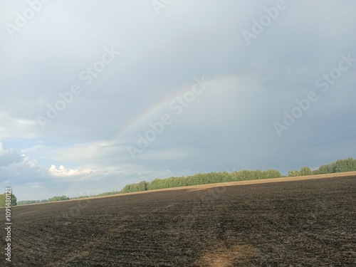 rainbow over field
