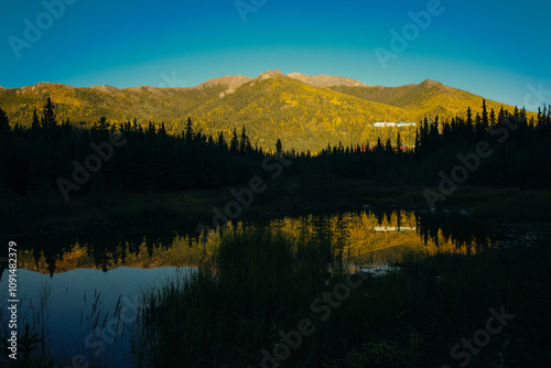 Lake Clark National Park, Alaska. A beaver dam or beaver impoundment is a dam built by beavers to create a pond photo