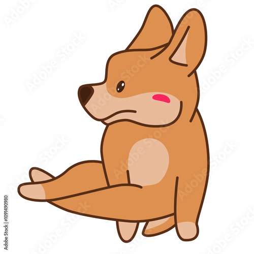 Corgi puppy yoga pose