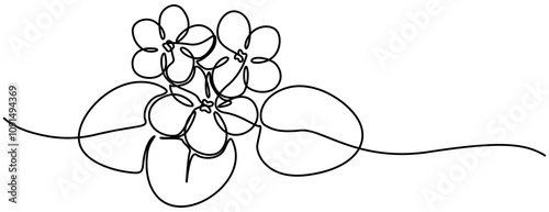 African violet in continuous line art drawing style. Saintpaulia flowering plant black linear sketch isolated on white background. Vector illustration, Purple Viola. New Brunswick, pro design.