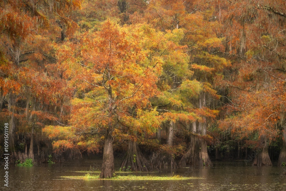 Obraz premium Autumn's Golden Embrace on the Lake
