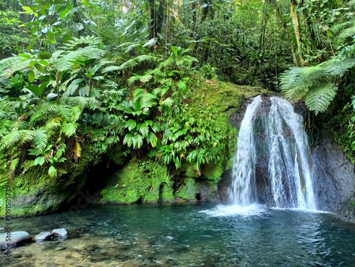 cascade des ecrevisses in the jungle in Basse Terre, Guadeloupe, french antilles. Scenic waterfall with a blue pond in  tropical rainforest