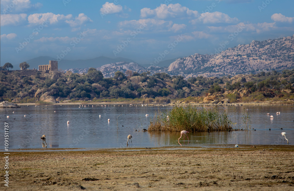 Lake Bafa, Kapıkırı Island - Kapıkırı Village and Island - Flamingo birds in the Ancient City of Herakleia - Türkiye