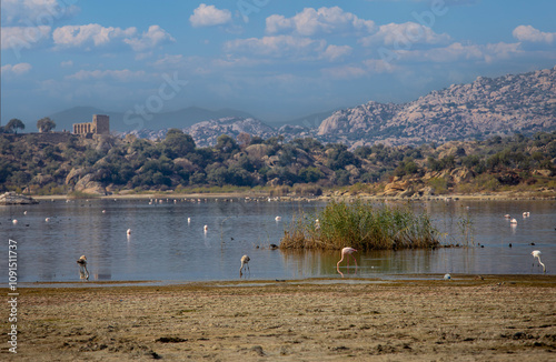 Obraz na płótnie Lake Bafa, Kapıkırı Island - Kapıkırı Village and Island - Flamingo birds in the Ancient City of Herakleia - Türkiye w salonie