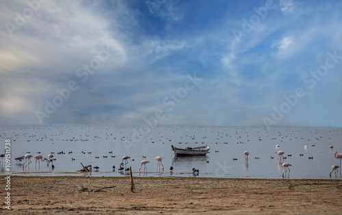 Obraz na płótnie Lake Bafa, Kapıkırı Island - Kapıkırı Village and Island - Flamingo birds in the Ancient City of Herakleia - Türkiye w salonie