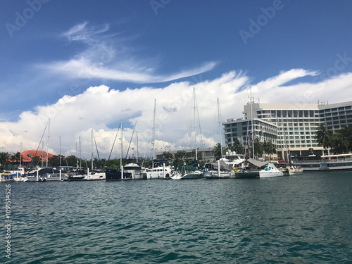 boats in the harbor