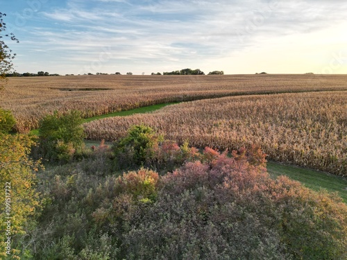 Fotografija Looking out onto a field of corn on a beautiful fall day from above