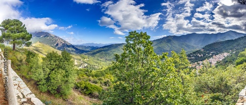 Aerial view of the picturesque mountain village Vivario on Corsica surrounded by lush green forested hills