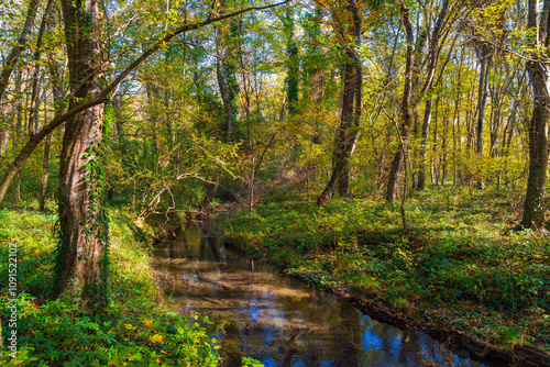 A small clean river with clear fresh water in the jungle