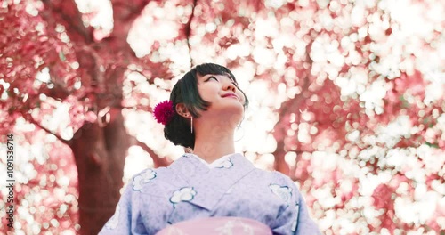 Thinking, cherry blossom and kimono with Japanese woman in park for traditional festival, hanami and trees. Spring, vision and culture with low angle of asian person for fashion, heritage and yukata