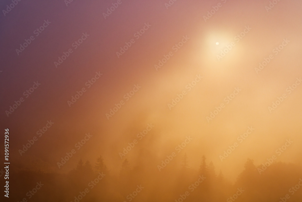 Fototapeta premium coucher de soleil dans la brume