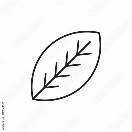 leaf nature icon sign vector