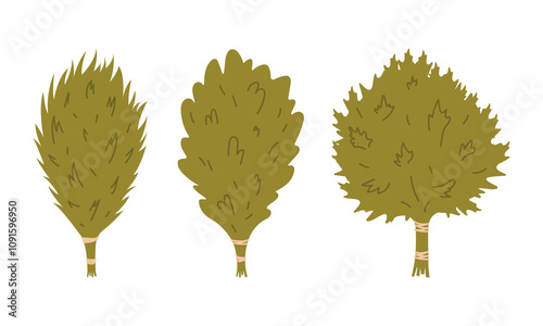 Traditional sauna brooms birch, linden, and eucalyptus for wellness. Vector illustration.