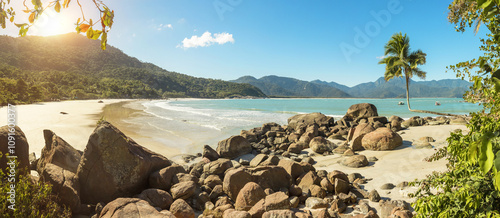 Foto Panoramic view of Adventurer's Beach with majestic palm tree adorned with turquo